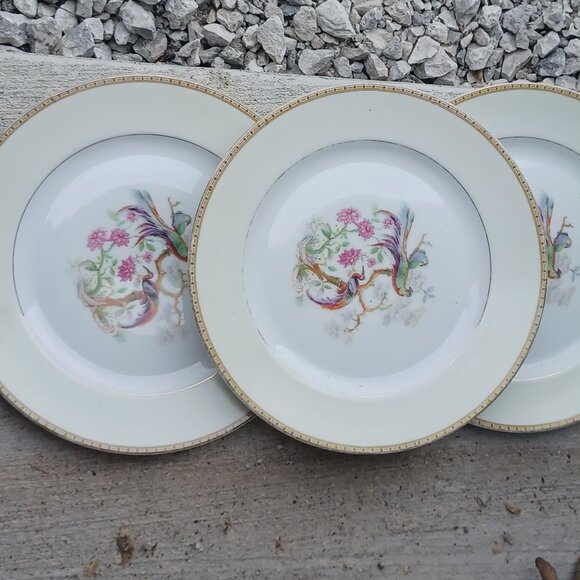 Three Vintage Antique Pirken Hammer Pheasant Peacock Bird Plates Made in Bohemia - Picture 4 of 4